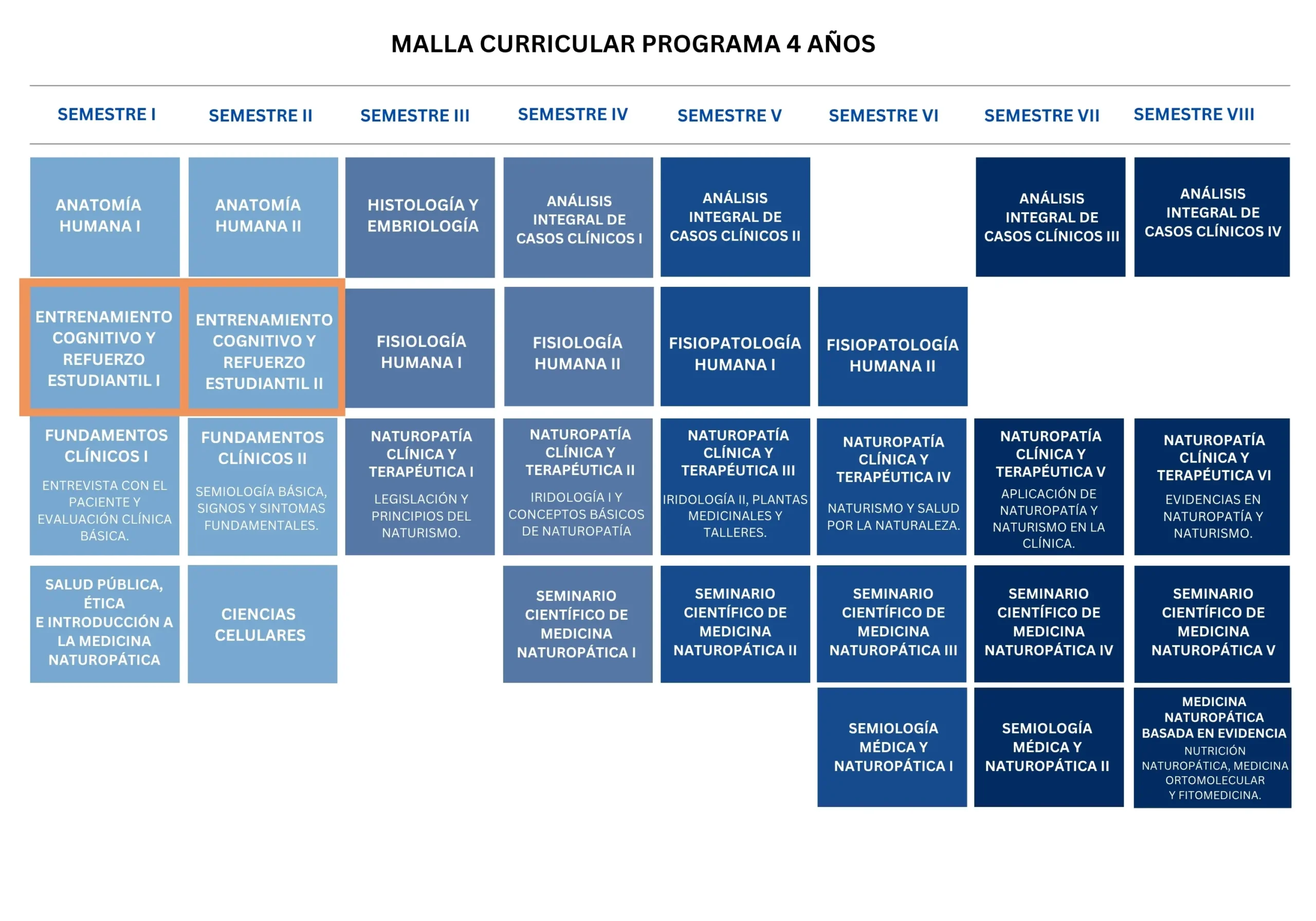 Malla curricular 4 años
