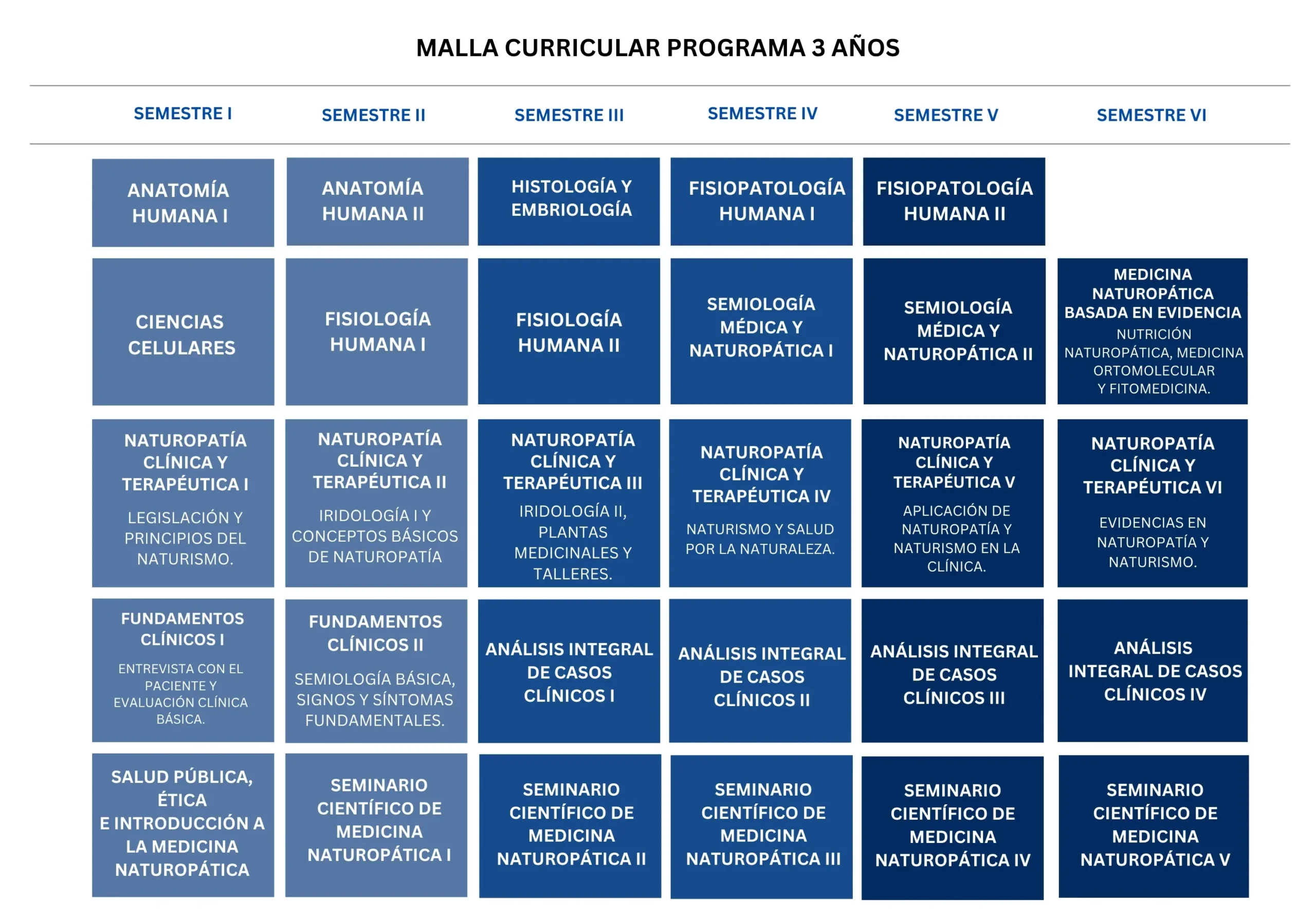 Malla curricular 3 años