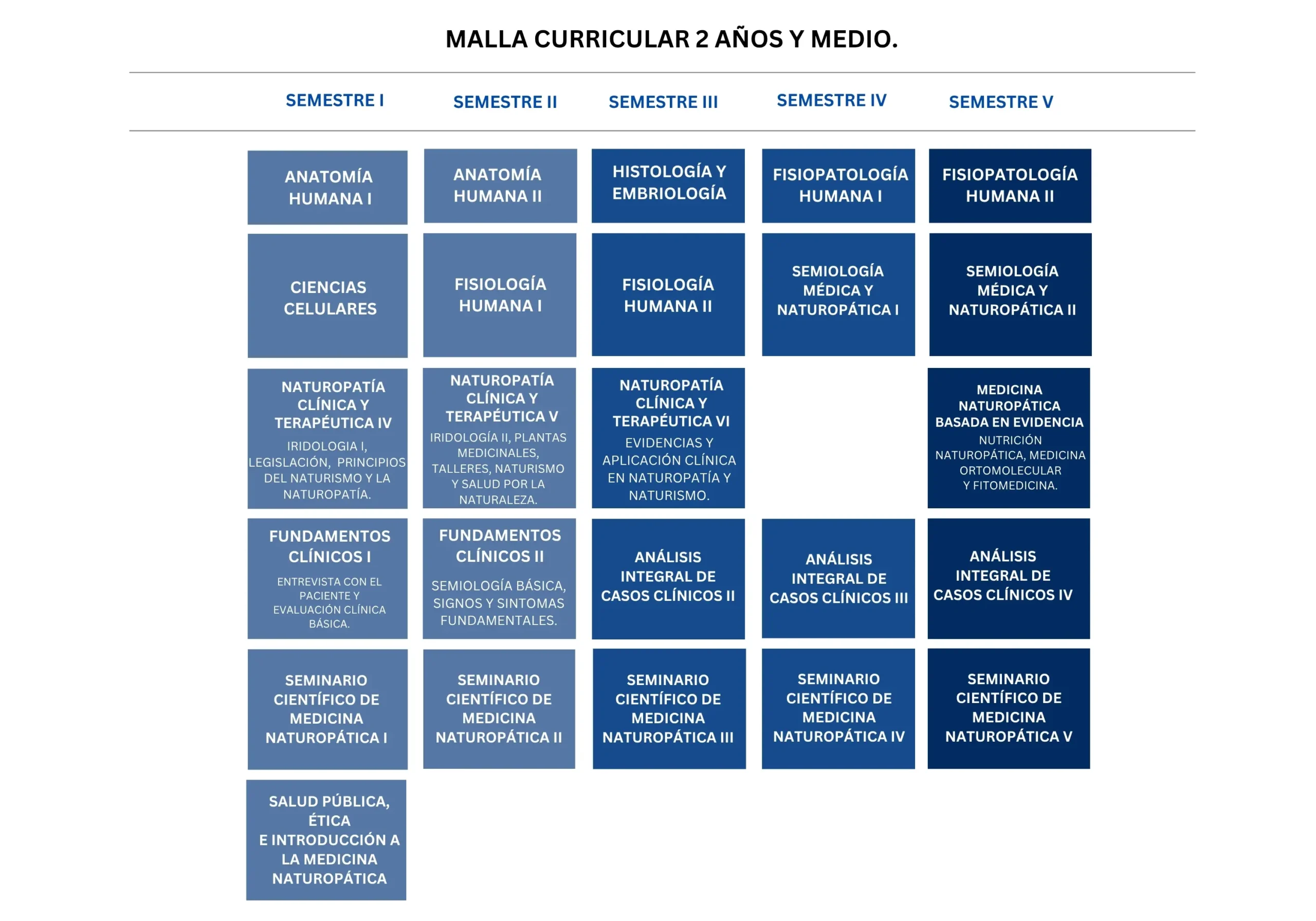 Malla curricular programa de 2.5 años