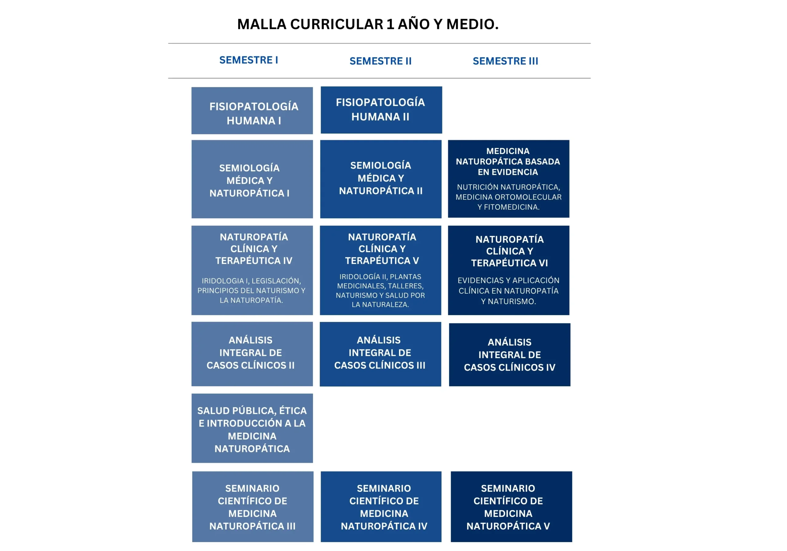 Malla curricular programa de 1.5 años